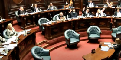 El Senado aprob� la LUC