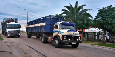 Gobierno y empresarios del transporte internacional de cargas acordaron hisopar una sola vez por semana a los camioneros