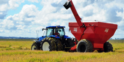 China afrontar� problemas de suministro de cereales en 2025, seg�n estudio