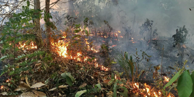 El fuego y la pandemia da�an pulmones de habitantes de la Amazon�a brasile�a