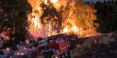 Estabilizan el fuego m�s grave de verano espa�ol tras quemar 10.000 hect�reas