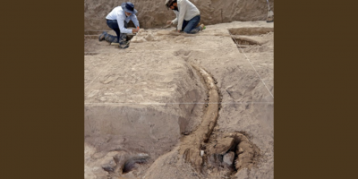 Mastodontes americanos migraron al norte en respuesta al calentamiento global
