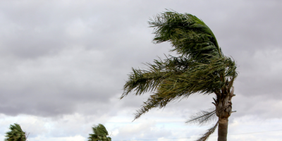 MetSul pronostica la presencia de un cicl�n extratropical en territorio uruguayo entre mi�rcoles y jueves