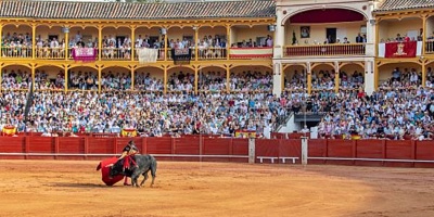 Madrid suspende las corridas de toros; Andaluc�a y Castilla-La Mancha las mantienen