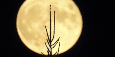 El ox�geno de la Tierra podr�a haber "oxidado" la Luna