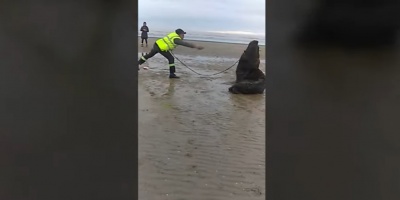 Un video sobre maltrato animal genera indignaci�n en las redes sociales