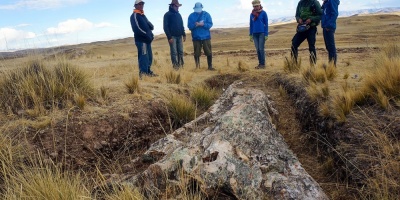 Un �rbol f�sil reconfigura paisaje de los Andes de hace 10 millones de a�os