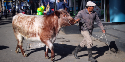 Inician hoy las actividades en la Expo Prado con varias medidas sanitarias