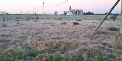 �ltima semana de invierno con temperaturas de -2.0 �C, seg�n registros de Inumet
