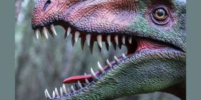 Identifican una nueva extinci�n masiva hace m�s de 200 millones de a�os