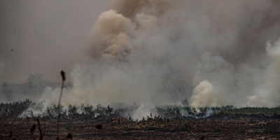 Brasil dice que problem�tica ambiental se agravar� sin acuerdo UE-Mercosur