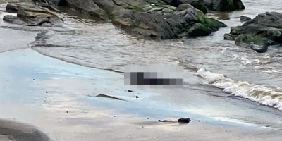 Investigan la aparici�n de un cuerpo sin vida en la rambla de Montevideo