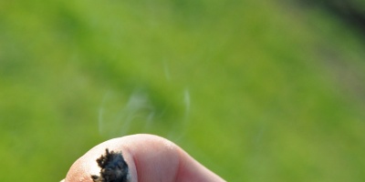 Difunden gua para para clubes de membresa y produccin de Cannabis