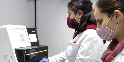 Identificaron nuevos cambios gen�ticos o mutaciones en la muestras de Covid 19 en Uruguay 
