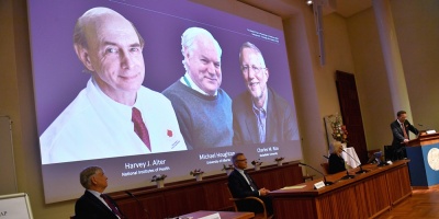 Nobel de Medicina a tres vir�logos por descubrir el virus de la hepatitis C