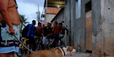 Tcnicos uruguayos intercambian informacin y se capacitan con el fin de erradicar la Hidatidosis