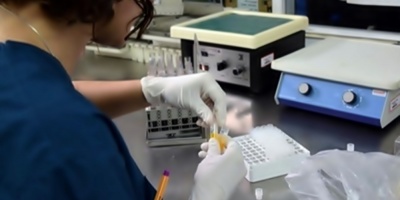 Identifican el mecanismo que explica c�mo un virus puede causar diabetes