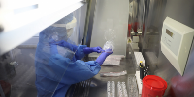 Generan un "clon infectivo" del SARS-CoV-2 para estudiar su biolog�a molecular