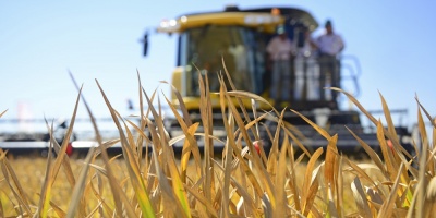 Am�rica debe aprovechar la transformaci�n tecnol�gica para su agricultura