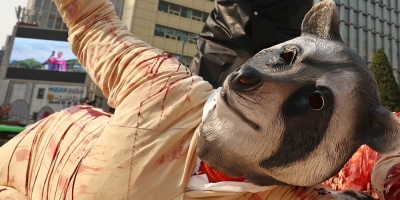 Realizar�n una movilizaci�n por la Liberaci�n Animal este jueves en Montevideo