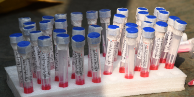 EEUU entra en la tercera ola de la pandemia con 140.000 casos diarios