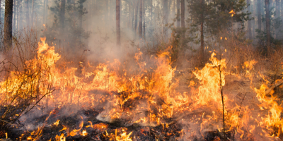 Rige decreto que proh�be la realizaci�n de fuegos y quemas al aire libre