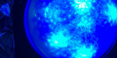 Un estudio nanosc�pico descifra c�mo se organizan las conexiones neuronales