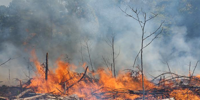 Bomberos controlaron dos incendios forestales que afectaron a Soriano y Rivera