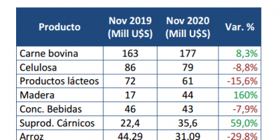 Las exportaciones cayeron 3,4% en noviembre