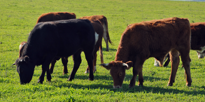 Firmaron el decreto por la emergencia agropecuaria ante falta de lluvias