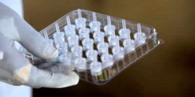 Suecia supera las 8.000 muertes por covid-19 sin signos de ca�da en contagio