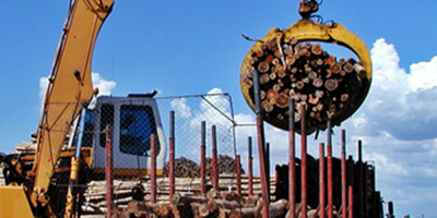 Lacalle Pou tiene previsto vetar la ley que pone l�mites a la forestaci�n