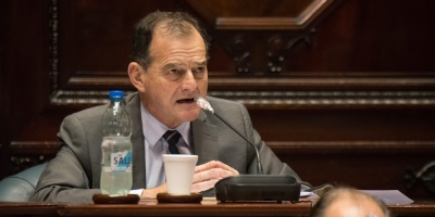 Manini: "Es prematuro hablar de veto" a la ley que limita la forestaci�n