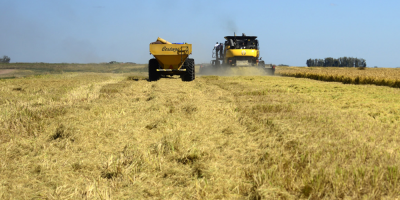 El Congreso de Per aprueba ley agraria en medio de grave crisis del sector