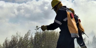 Bomberos exhortan al manejo responsable del material pirot�cnico para fin de a�o