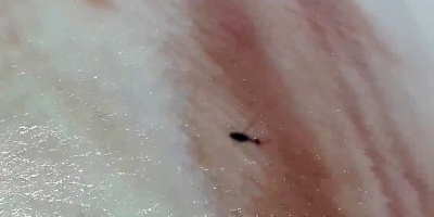 Investigan misteriosa mancha frente a las costas de Maldonado