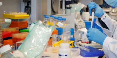 La infecci�n de covid proporciona inmunidad durante al menos cinco meses