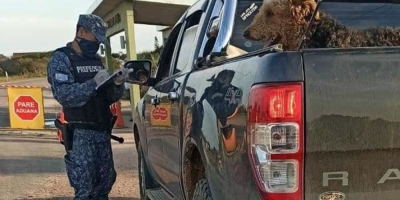 Maldonado: Prefectura ha realizado 93 intervenciones hasta el momento