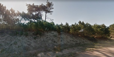 Rocha: advierten por restos de vegetaci�n muerta que favorecen la propagaci�n de incendios