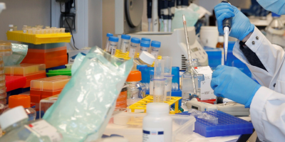 Test obligatorio y gratis para alumnos austr�acos que quieran volver a clase