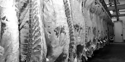 Un brote de la COVID-19 llev� al cierre temporal del Frigor�fico Tarariras