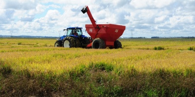 Brasil recoger una cosecha rcord de 262,2 millones de toneladas en 2021