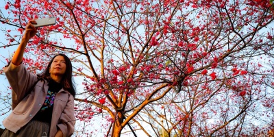 La ONU solicita hacer la paz con la naturaleza para evitar el desastre