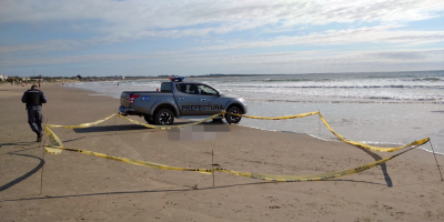 Apareci� el cuerpo sin vida de una mujer de 50 a�os en La Paloma