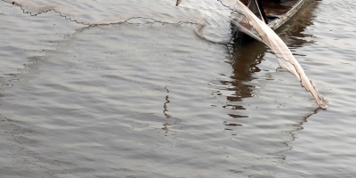 Dos pescadores se ahogaron en el arroyo Yaguar�