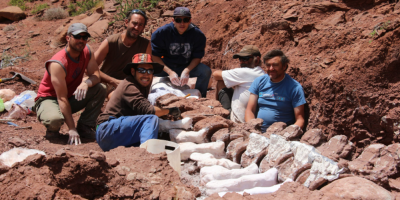 El titanosaurio m�s antiguo, hallado en la Patagonia Argentina