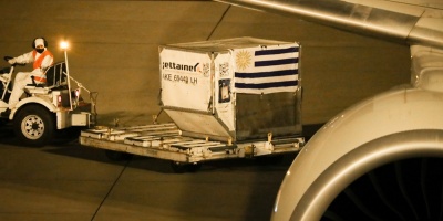 50.000 vacunas de Pfizer prontas para distribuci�n