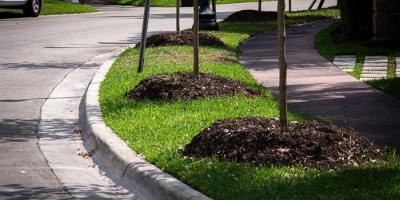 Fin de semana con tiempo bueno