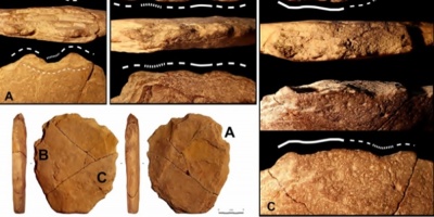 Hallan indicio de que los humanos viv�an en Am�rica del Sur hace 24.000 a�os