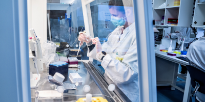 Investigadores descubren una posible nueva variante de la covid-19 en B�lgica